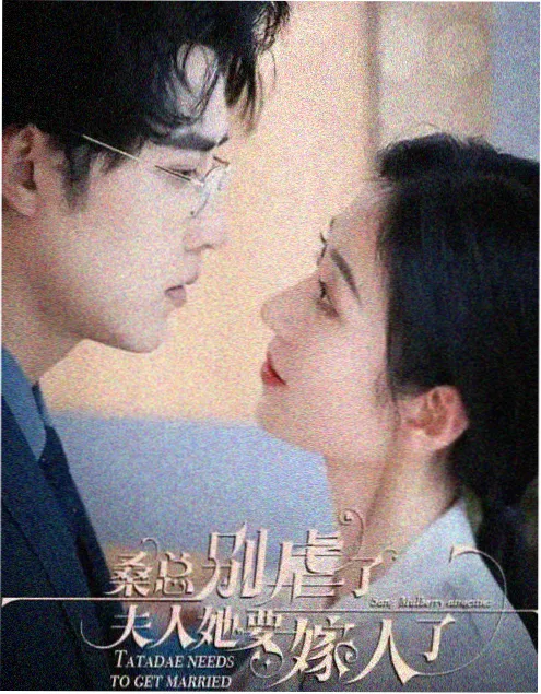 金牌影视年代生活剧旧巷灯火全集在线观看
